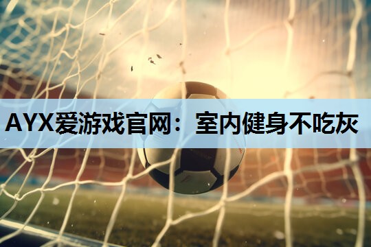 AYX爱游戏官网：室内健身不吃灰