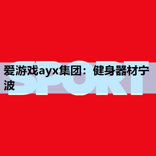 爱游戏ayx集团：健身器材宁波