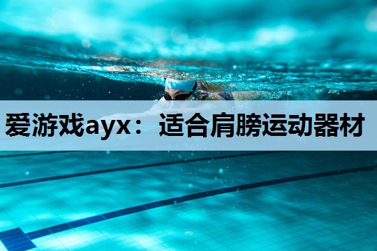 爱游戏ayx：适合肩膀运动器材