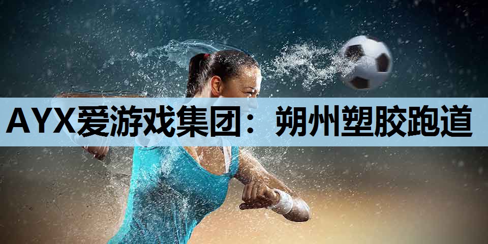 AYX爱游戏集团：朔州塑胶跑道