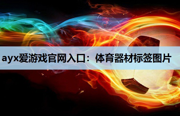 ayx爱游戏官网入口：体育器材标签图片