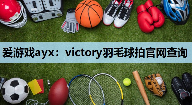 爱游戏ayx：victory羽毛球拍官网查询