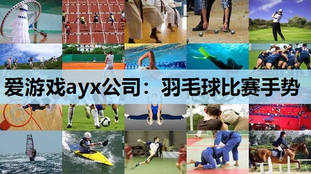 爱游戏ayx公司：羽毛球比赛手势