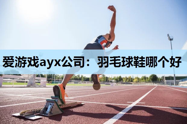 爱游戏ayx公司：羽毛球鞋哪个好