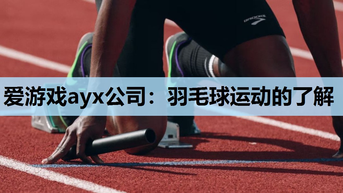 爱游戏ayx公司：羽毛球运动的了解